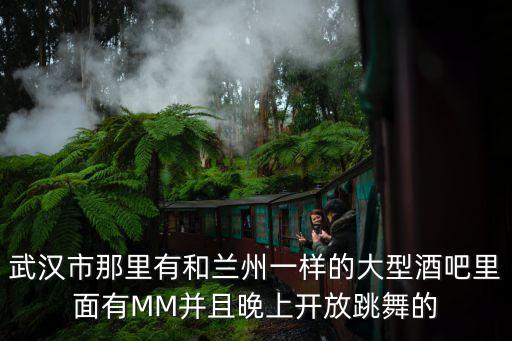 武汉市那里有和兰州一样的大型酒吧里面有MM并且晚上开放跳舞的