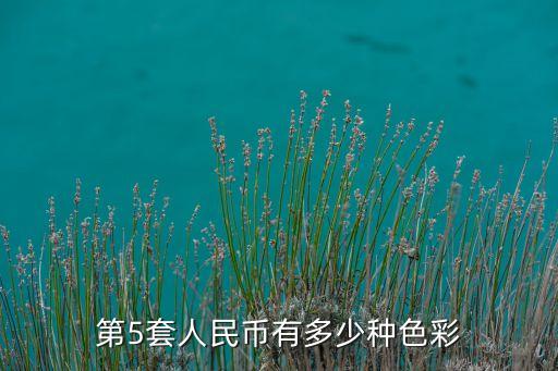 冬冬水兵舞第五套有多少个动作，第5套人民币有多少种色彩