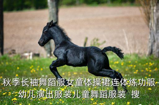 秋季长袖舞蹈服女童体操裙连体练功服幼儿演出服装儿童舞蹈服装  搜