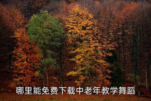 老年人学舞蹈视频教程全集，中老年舞蹈的视频可以在哪里找到啊