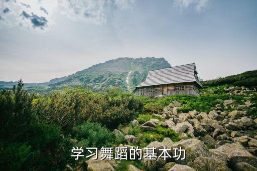 学习舞蹈的基本功
