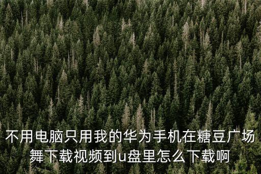 手机版糖豆广场舞下载视频怎么下载，不用电脑只用我的华为手机在糖豆广场舞下载视频到u盘里怎么下载啊