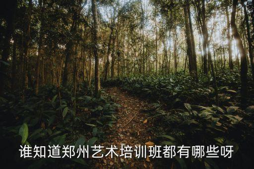 谁知道郑州艺术培训班都有哪些呀