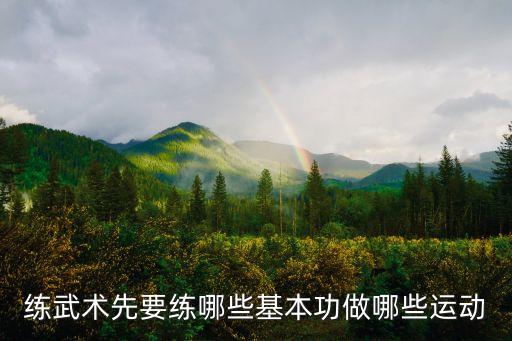 练武术先要练哪些基本功做哪些运动