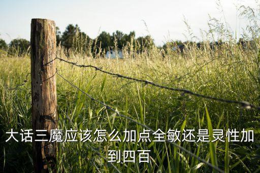 大话三魔应该怎么加点全敏还是灵性加到四百