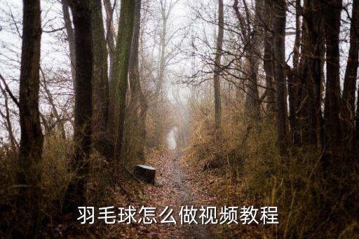 羽毛球怎么做视频教程