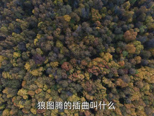 狼图腾的插曲叫什么