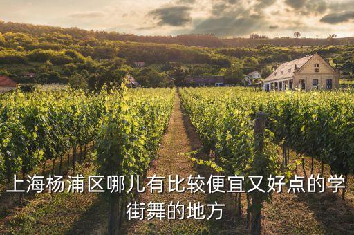 杨浦哪里学儿童街舞，上海杨浦区哪儿有比较便宜又好点的学街舞的地方