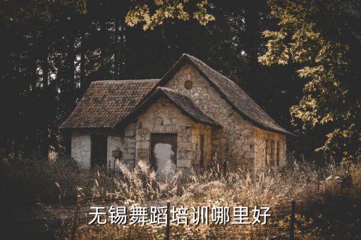 无锡舞蹈培训哪里好