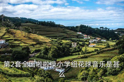 啦啦操舞蹈视频小学生比赛，第2套全国啦啦操小学组花球音乐是甚么...