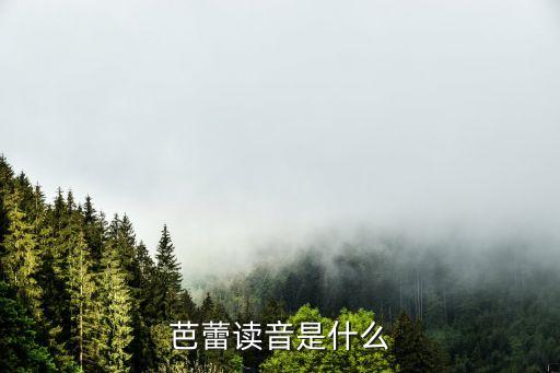 芭蕾读音是什么