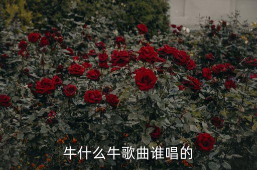 你牛什么牛歌曲高清，歌词是你牛什么牛