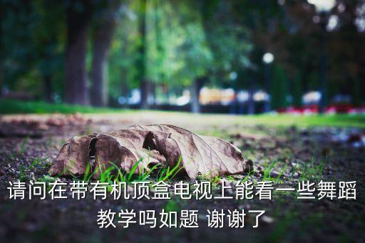 电视上怎么收舞蹈教程，请问在带有机顶盒电视上能看一些舞蹈教学吗如题 谢谢了