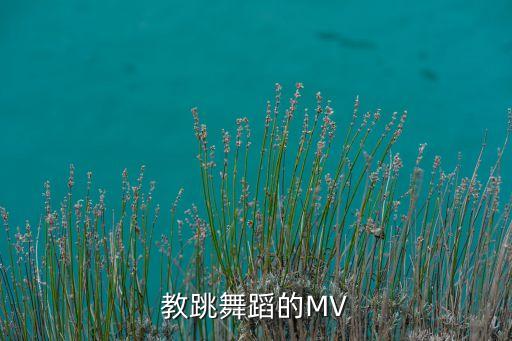 教跳舞蹈的MV