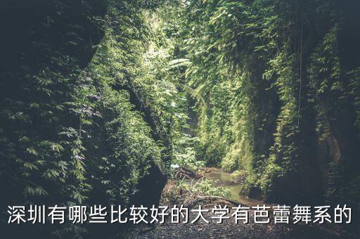 深圳有哪些比较好的大学有芭蕾舞系的
