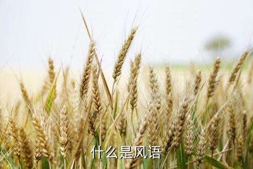 云紫燕广场怎么开心怎么活，什么是风语
