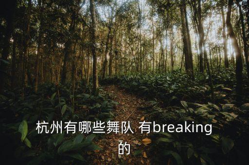 杭州有哪些舞队 有breaking的