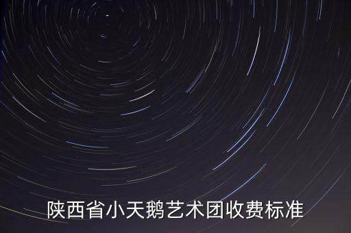 陕西省小天鹅艺术团收费标准