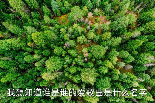 我想知道谁是谁的爱歌曲是什么名字