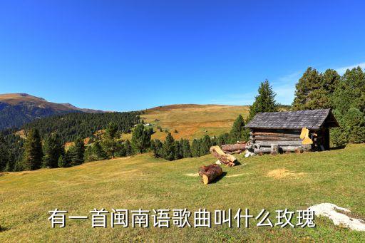 有一首闽南语歌曲叫什么玫瑰