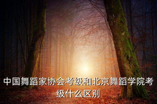 北舞和舞协哪个好，中国舞蹈家协会考级和北京舞蹈学院考级什么区别