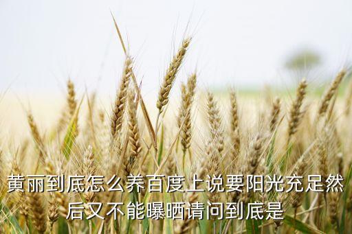 风筝正反面怎么看，蝴蝶的什么原里发明了卫星的控温系统而不是只是简单地知道蝴蝶卫