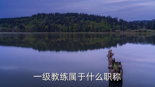 一级教练属于什么职称