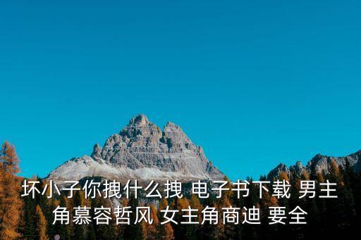 坏小子你拽什么拽 电子书下载 男主角慕容哲风 女主角商迪 要全
