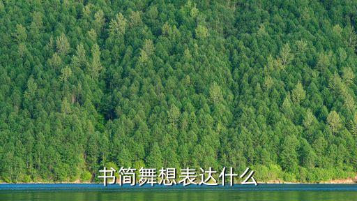 书简舞蹈完整版，书简舞名字由来最好简洁点