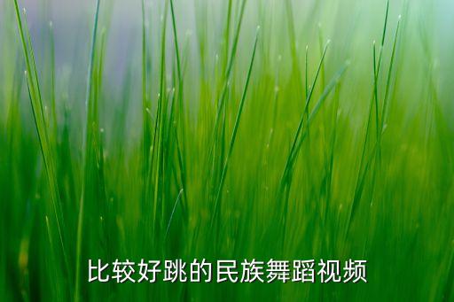 比较好跳的民族舞蹈视频