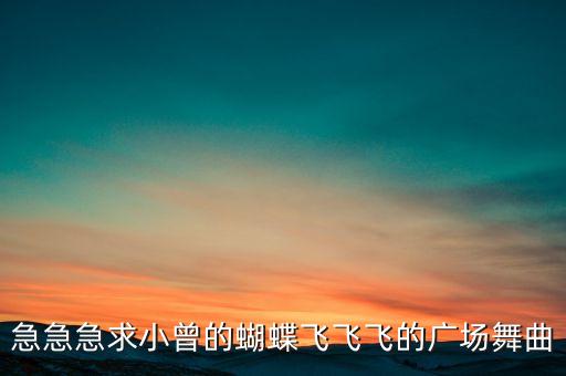 急急急求小曾的蝴蝶飞飞飞的广场舞曲