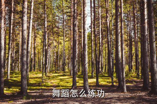 舞蹈怎么练功