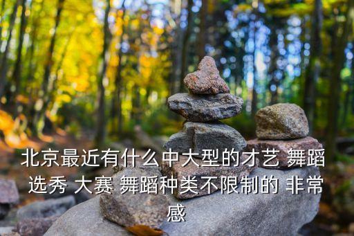 舞蹈专业比赛有哪些，北京最近有什么中大型的才艺 舞蹈 选秀 大赛 舞蹈种类不限制的 非常感