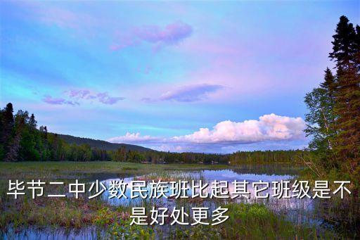 毕节二中少数民族班比起其它班级是不是好处更多