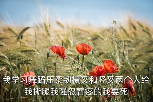 我学习舞蹈压柔韧横叉和竖叉两个人给我撕腿我强忍着疼的我要死