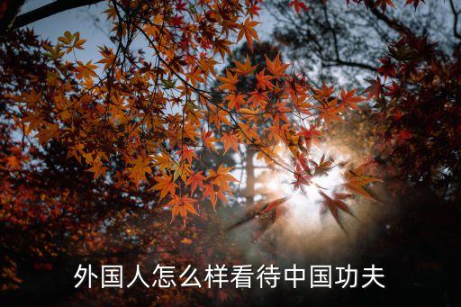 外国人看中国古典舞反应，你知道我国的哪些传统艺术在国外有影响为外国人所迷恋吗