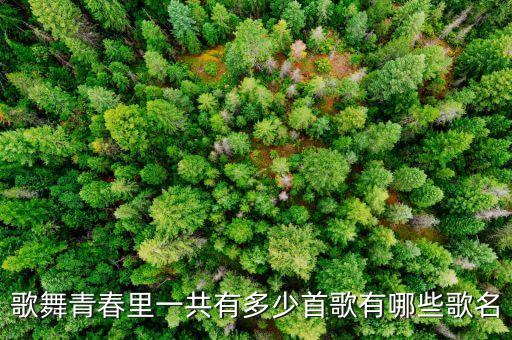 广场舞青春舞起来歌名是什么，歌舞青春里一共有多少首歌有哪些歌名