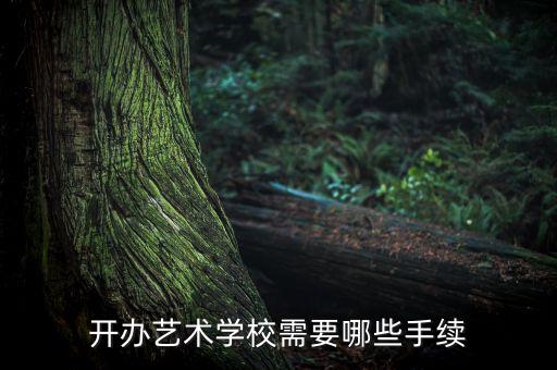 开办艺术学校需要哪些手续