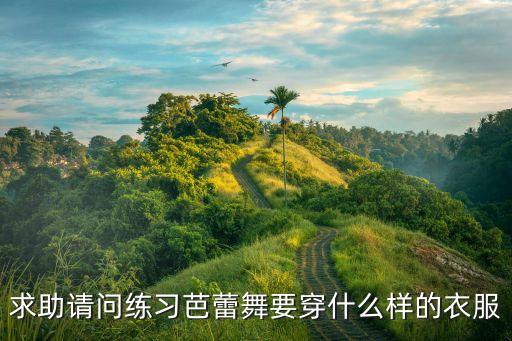 求助请问练习芭蕾舞要穿什么样的衣服