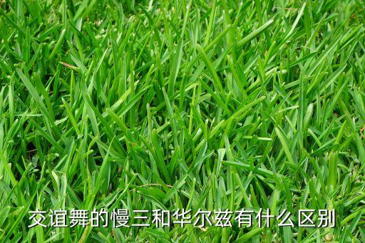 交谊舞的慢三和华尔兹有什么区别