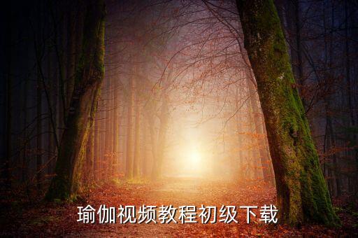 瑜伽视频教程初级下载