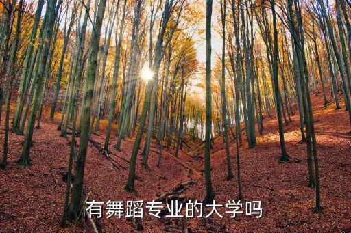有舞蹈专业的大学吗