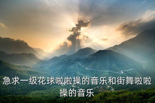 花球啦啦操叫什么歌曲，八级花球舞背景音乐名