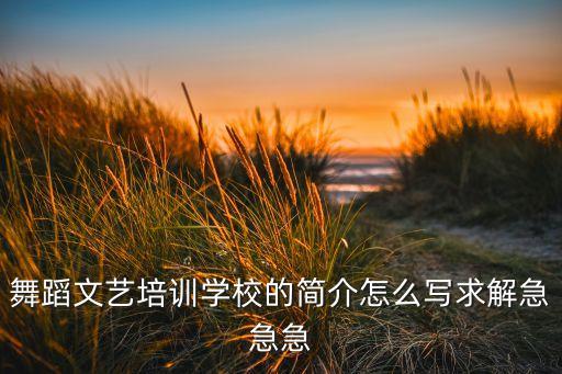 舞蹈文艺培训学校的简介怎么写求解急急急