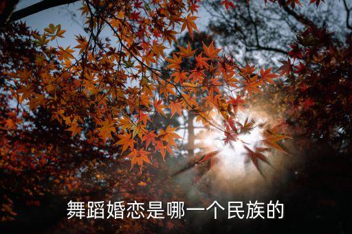 舞蹈婚恋是哪一个民族的