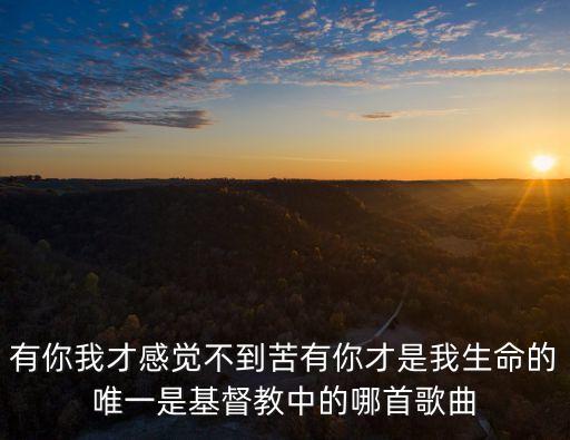 你是我的力量赞美歌曲，我想找主耶稣你是我力量的源头这首歌
