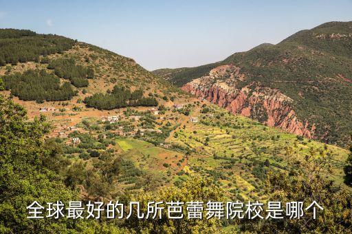 全球最好的几所芭蕾舞院校是哪个
