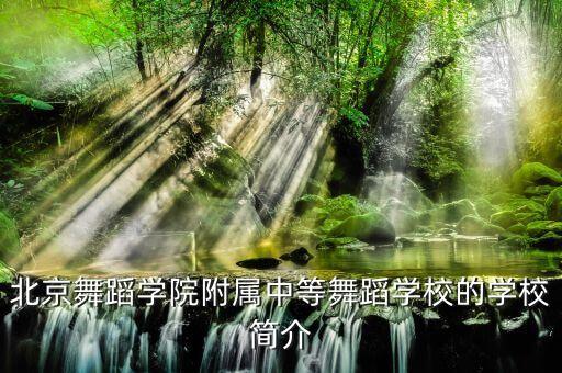 北京舞蹈学院附属中等舞蹈学校的学校简介