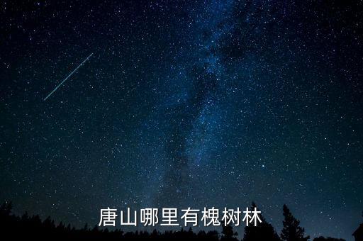唐山哪里有槐树林