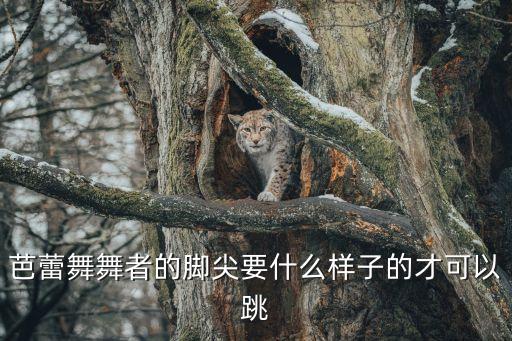 芭蕾舞舞者的脚尖要什么样子的才可以跳
